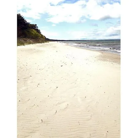 Sailor Comfortable Glowe