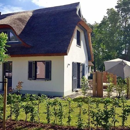 Sailor Comfortable Glowe