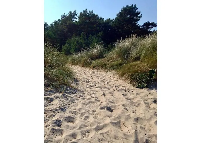 Sailor Comfortable *